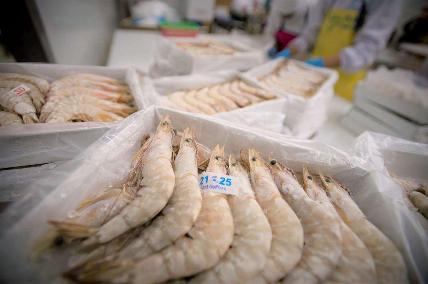 home-header4 home-header4