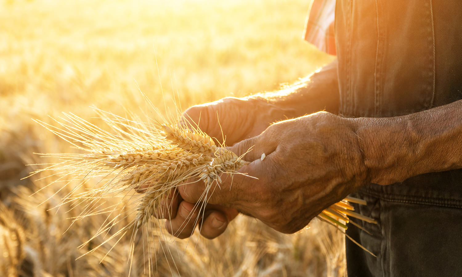 web16-banner web16-banner